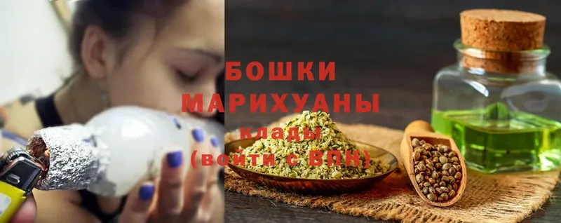 Бошки Шишки марихуана  купить закладку  Гатчина 